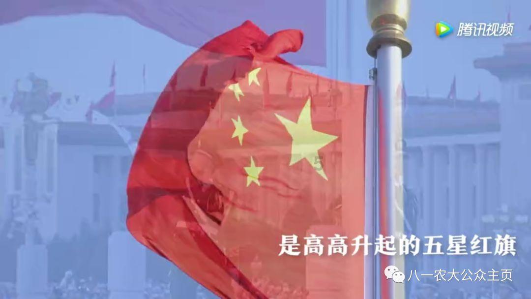 豆娃的冒险故事壹